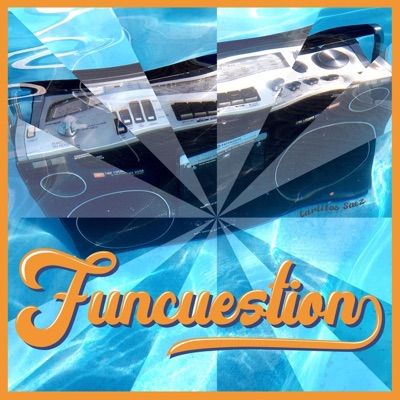 Funcuestion - Single