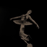 Fractals - Single - Proto