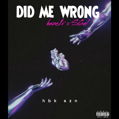 Did me wrong (feat. S6ul) - Single