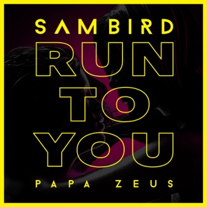 Sam Bird & Papa Zeus - Run to You - Line Dance Choreographer