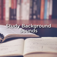 Study Background Sounds - Rain Sounds & Rain for Deep Sleep