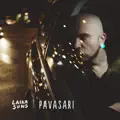 Pavasari