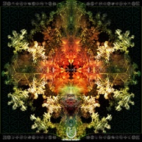 Flowers in My Head