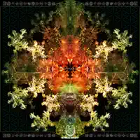 Mythic Memory Of The Tribe — Panda On The Bamboo Tree & Jedidiah