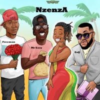 Nzenza Remix (feat. Freeman & Mr. Easy) - Single - ExQ
