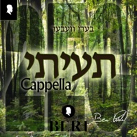 2ec (Akapella - תעיתי כשה אובד) - Single - Beri Weber