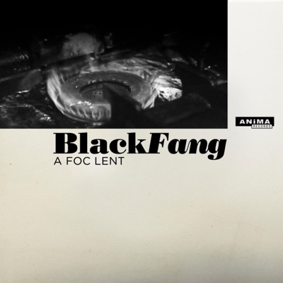 A Foc Lent (feat. Calmoso) - Single