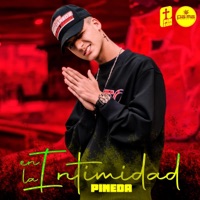 En la Intimidad - Single - Pineda