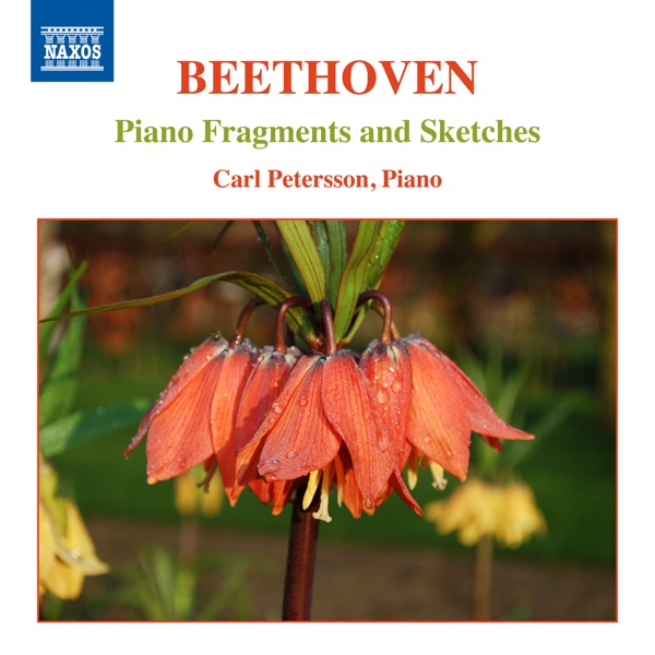 Beethoven: Piano Fragments & Sketches
