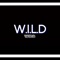 Chill Out - Wild Wes lyrics