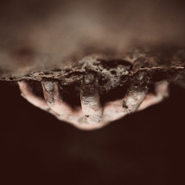 Freefallin' (feat. SKI Gost) A$pect