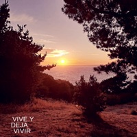 Vive y Deja Vivir - Single - Souldier