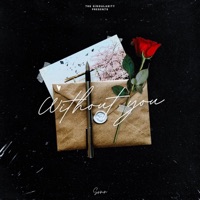 Without You - Single - Srmn