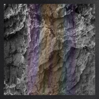 Fry & Leela - Single - Summerfields