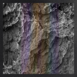 Fry & Leela Summerfields