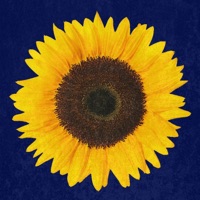 Alone - Single - Evilmane