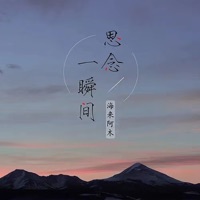 思念一瞬间 (DJ名龙版) - Single - Hai Lai Amu