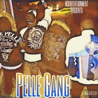Pelle Gang - Single - Mo Bandz