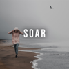 Soar (feat. Mirov) - Rujay