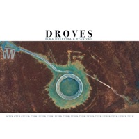 Droves - Single - Ryan Vail & Elma Orkestra