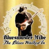 The Blues Walked In - EP