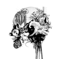 ワールド・サーフ・メロウ - Starboard