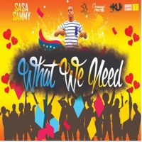 Sasa Sammy - What We Need album artwork