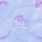 Keys - Amrit & Yas (LB) lyrics