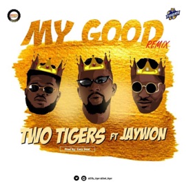 My Good (Remix) [feat. Jaywon] Two tigers