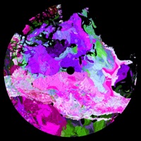 Never Dance Alone (feat. Ladyhawke) [Set Mo Remix] - Single - Crooked Colours