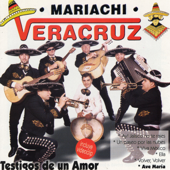 Un Paseo Por las Nubes - Mariachi Veracruz