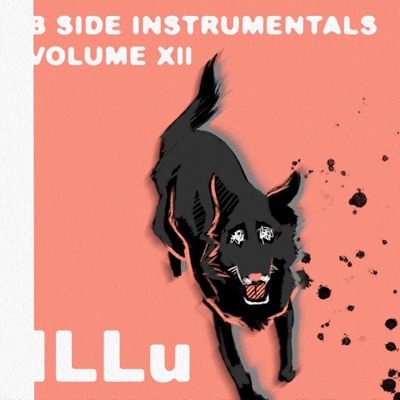 B Side Instrumentals, Vol. XII