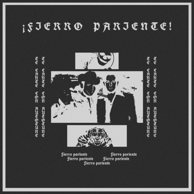 ¡Fierro pariente! (feat. KtorC) - Single