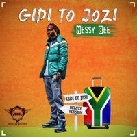 Gidi To Jozi - Nessy Bee