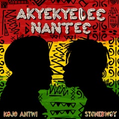 AKYEKYEDE3 NANTE3 - Single (feat. Stonebwoy) - Single