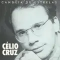 FESTA