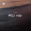 Aerokeys - Miss You