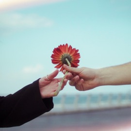 שוב את סטיב אל