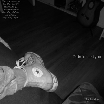 Didn't Need You - Single
