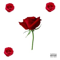 Rose - Single - Irving Leyva