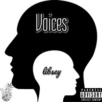 Voices - Single - Libsey