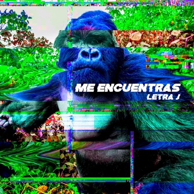 Me Encuentras - Single