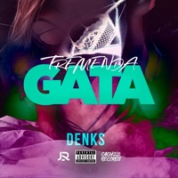 Tremenda Gata (feat. Jack Red) - Single - Denks