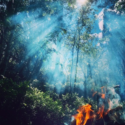 August Tree - What Do You Desire