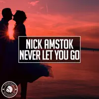 Never Let You Go — Nick Amstok