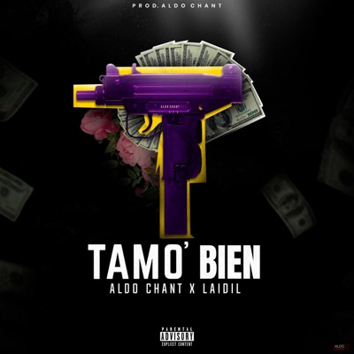 Tamo Bien (feat. Laidil) - Single