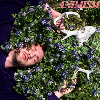 Animism