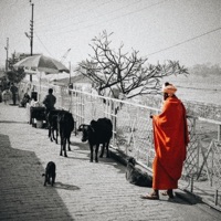 Next to YOU (feat. 3mums) - Single - Swami G