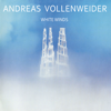 White Winds (Seeker's Journey) - Andreas Vollenweider