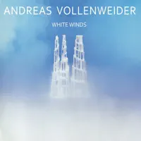 The Stone (Close Up) [feat. Walter Keiser, Pedro Haldemann & Corin Curschellas]